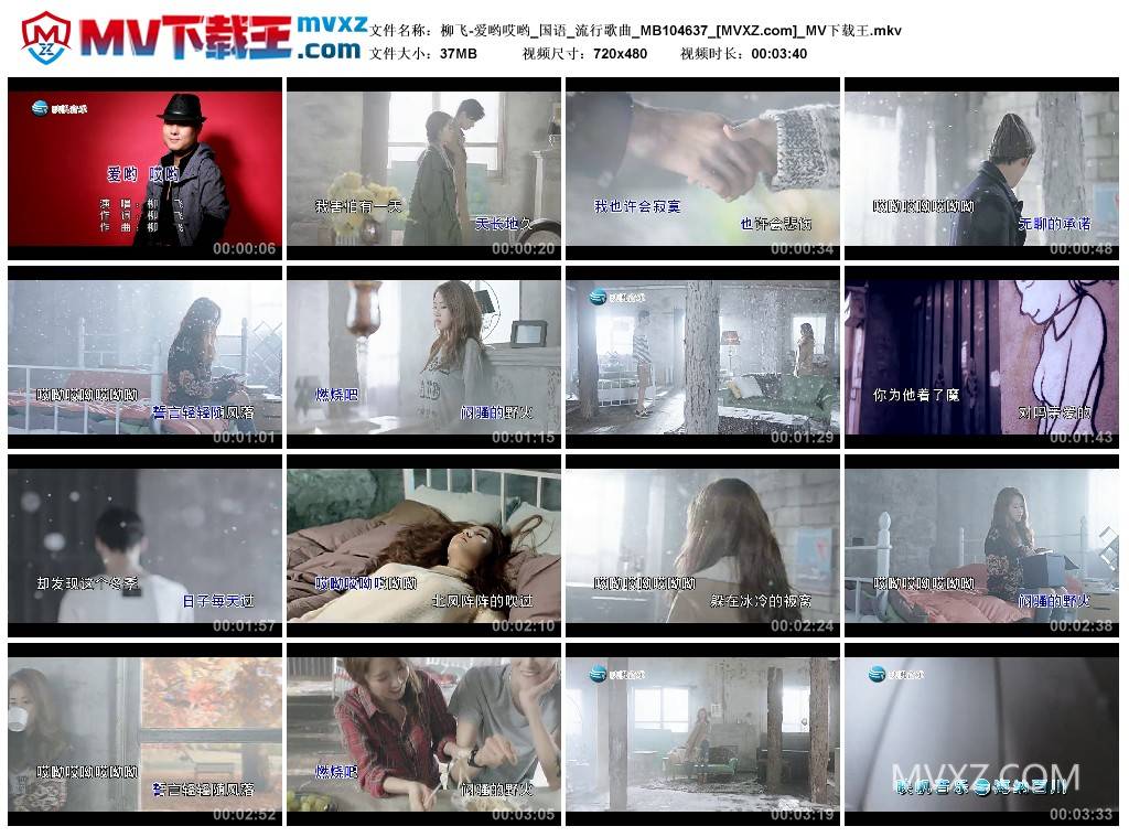 柳飞-爱哟哎哟_国语_流行歌曲_MB104637